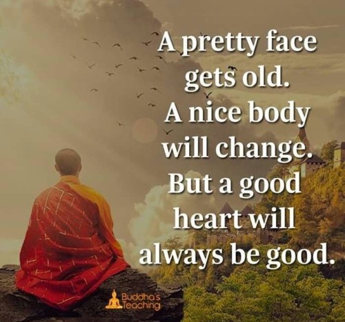 A-Pretty-Face-Gets-Old-A-Nice-Body-Will-Change-Quote.jpeg