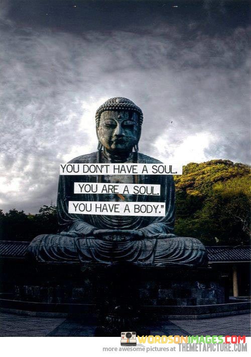 You-dont-a-soul-you-are-a-soul-you-have-a-body-quotes.jpeg
