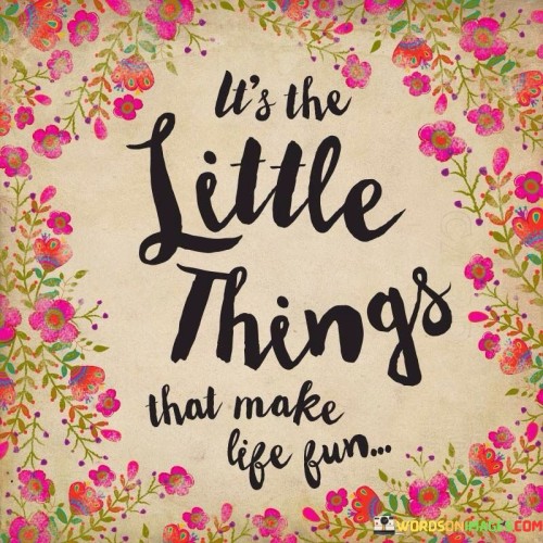 Its-The-Little-Things-That-Make-Life-Fun-Quotes.jpeg