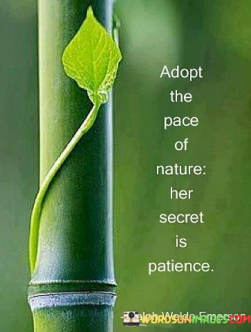 Adopt-The-Peace-Of-Nature-Her-Scret-Quotes.jpeg