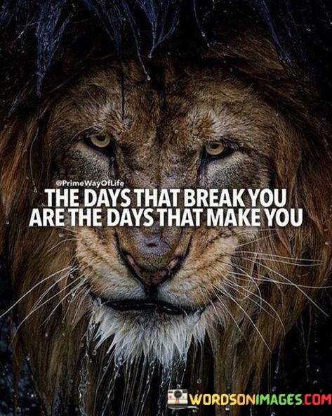 The-Days-That-Break-You-Are-The-Days-That-Make-You-Quotes.jpeg