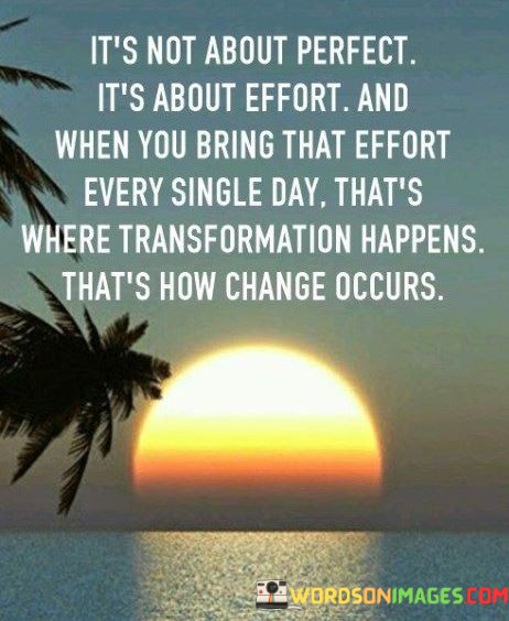 Its-Not-About-Perfect-Its-About-Effort-And-When-You-Quotes.jpeg