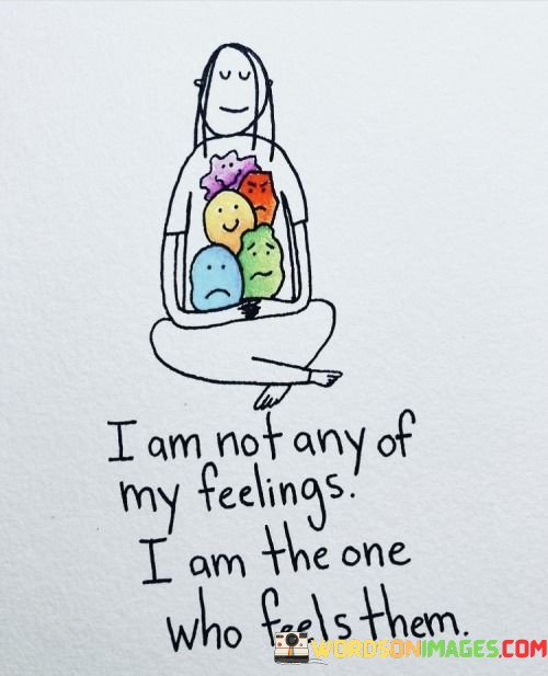 I-M-Not-Any-Of-My-Feelings-I-Am-The-One-Who-Feels-Them-Quotes.jpeg