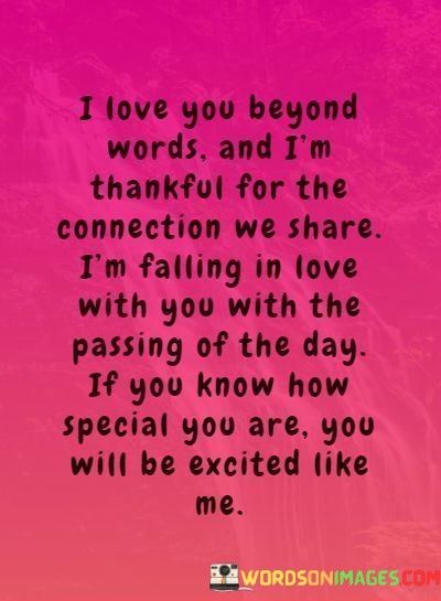 I-Love-You-Beyond-Words-And-Im-Thankful-For-The-Connection-We-Share-Im-Falling-In-Love-Quotes.jpeg
