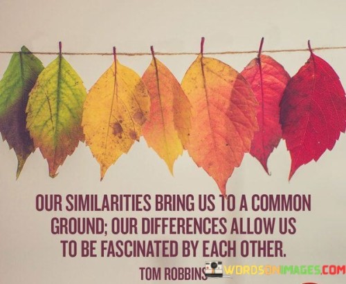 Our-Similarities-Bring-Us-To-A-Common-Ground-Our-Differences-Allow-Us-Quotes.jpeg