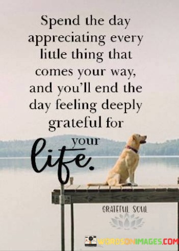 Spend-The-Day-Appreciating-Every-Little-Thing-That-Comes-Your-Way-And-Youll-End-The-Day-Feeling-Quotes.jpeg