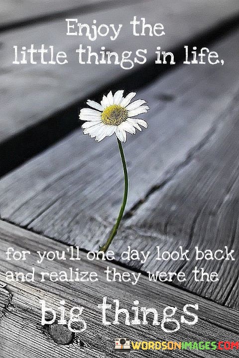 Enjoy-the-little-things-in-life-for-youll-one-day.jpeg