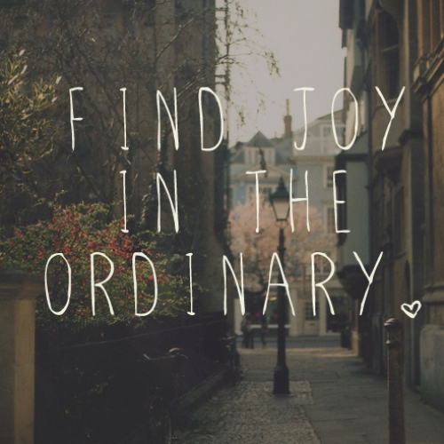 Find-Joy-In-The-Ordinary-Quotes.png