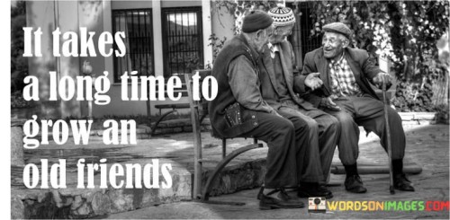 It-Takes-A-Long-Time-To-Grow-An-Old-Friends-Quotes.jpeg