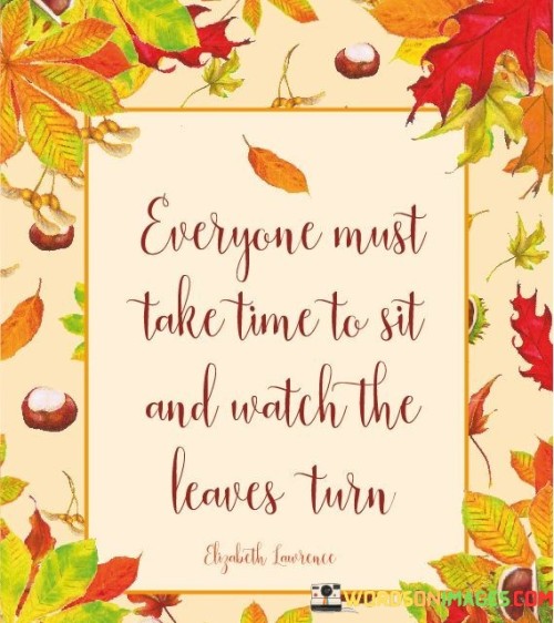 Everyone-Must-Take-Time-To-Sit-And-Watch-Quotes.jpeg