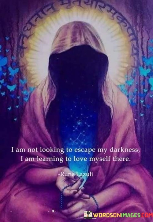 I-Am-Not-Looking-To-Escape-My-Darkness-Quotes.jpeg
