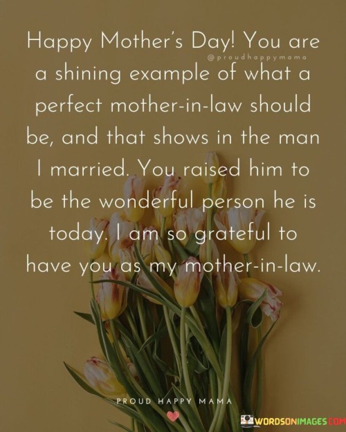Happy-Mothers-Day-You-Are-A-Shining-Example-Of-What-A-Perfect-Mother-In-Law-Quotes.jpeg