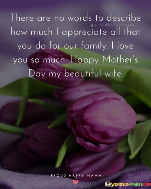 There-Are-No-Words-To-Describe-How-Much-I-Appreciate-All-That-You-Do-For-Quotes.jpeg