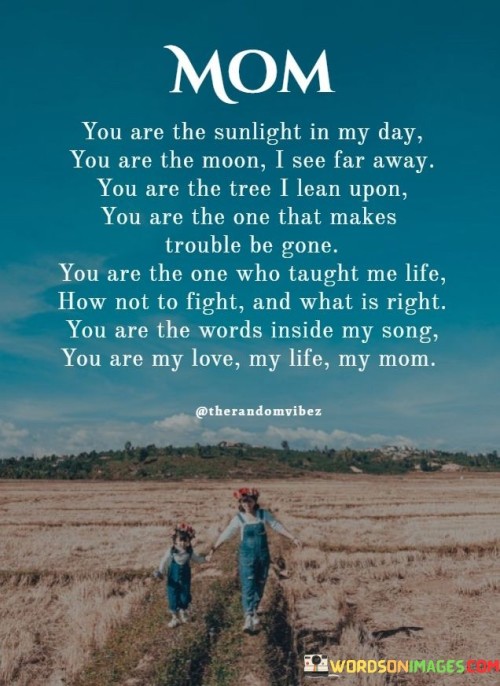 You-Are-The-Sunlight-In-My-Day-You-Are-The-Moon-I-See-Far-Away-You-Are-Quotes.jpeg
