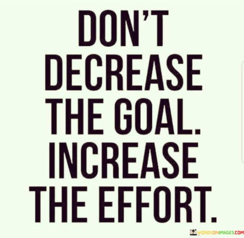 Dont-Decrease-The-Goal-Increase-The-Effort-Quotes.jpeg
