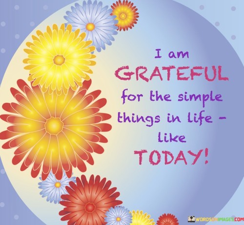 I-Am-Grateful-For-The-Simple-Things-In-Life-Quotes.jpeg