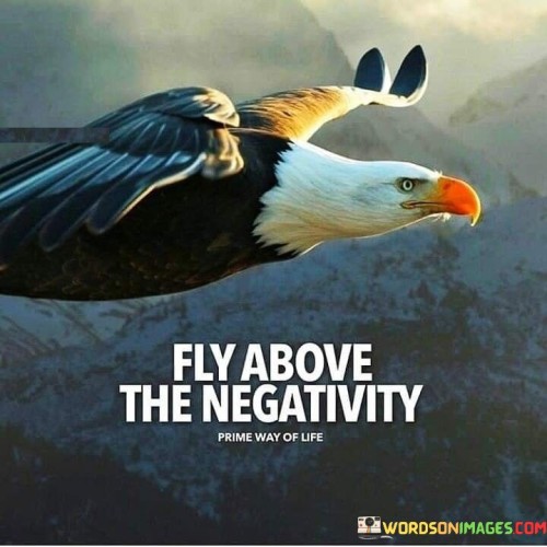 Fly-Above-The-Negativity-Quotes.jpeg