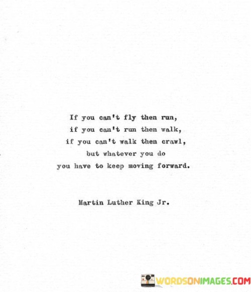 If-You-Cant-Fly-Then-Run-If-You-Cant-Run-Quotes.jpeg