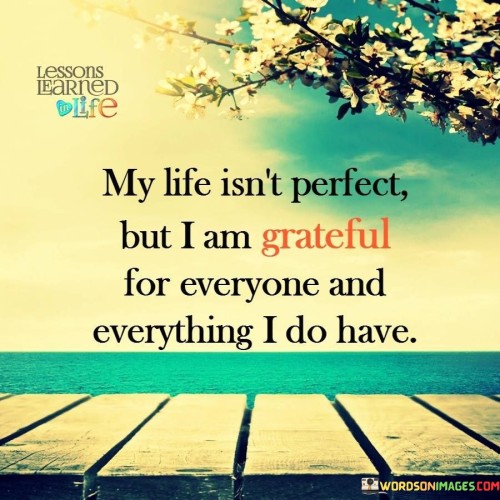 My-Life-Isnt-Perfect-But-I-Am-Grateful-For-Everything-Quotes.jpeg