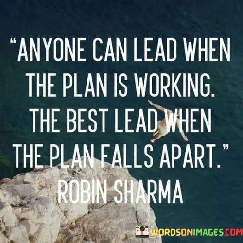 Anyone-Can-Lead-When-The-Plan-Is-Working-The-Best-Quotes.jpeg