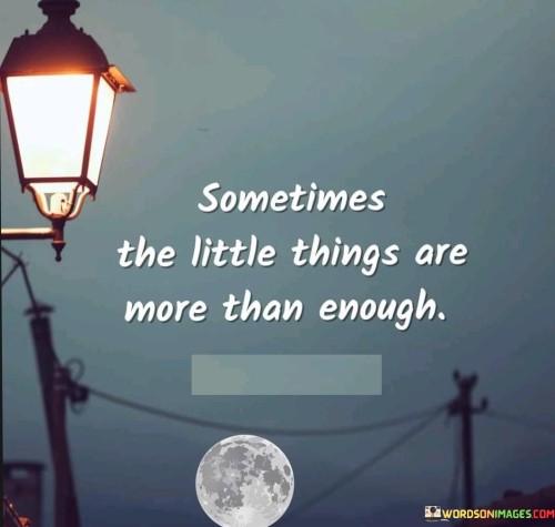 Sometime-The-Little-Things-Are-More-Than-Enough-Quotes.jpeg