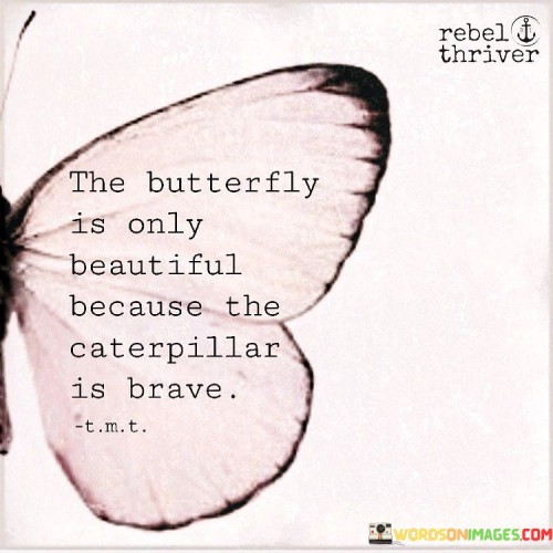 The-Butterfly-Is-Only-Beautiful-Because-The-Caterpiller-Is-Brave-Quotes.jpeg