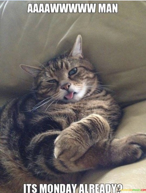 Aaaawwwwww-Man-Its-Monday-Already-Quotes.jpeg