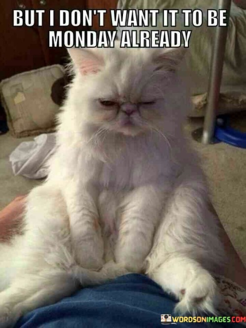 But-I-Dont-Want-It-To-Be-Monday-Already-Quotes.jpeg