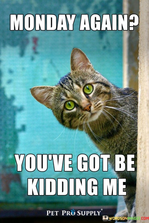 Monday-Again-Youve-Got-Be-Kidding-Me-Quotes.jpeg