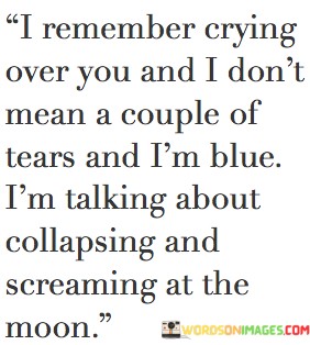 I-Remember-Crying-Over-You-And-I-Dont-Mean-A-Couple-Of-Tears-And-Quotes.jpeg