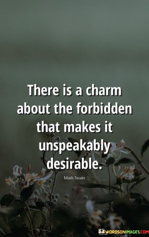 There-Is-A-Charm-About-The-Forbidden-That-Makes-It-Quotes.jpeg
