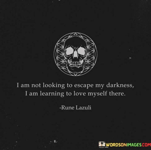 I-Am-Not-Looking-To-Escape-My-Darkness-I-Am-Learning-Quotes.jpeg