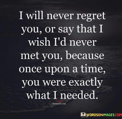 I-Will-Never-Regret-You-Or-Say-That-I-Wish-Quotes.jpeg