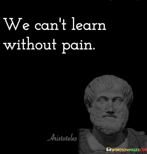 We-Cant-Learn-Without-Pain-Quotes.jpeg