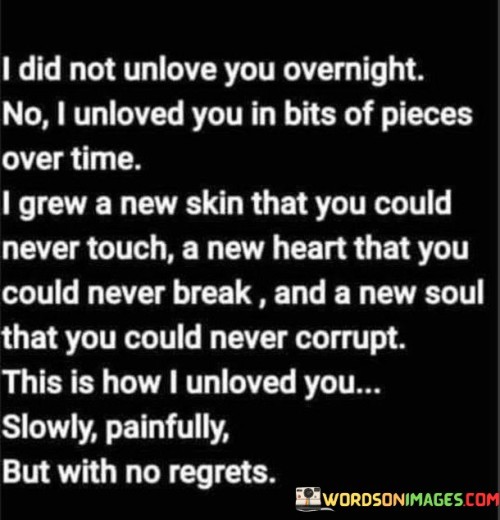 I-Did-Not-Unlove-You-Overnight-No-I-Unloved-You-In-Bits-Of-Pieces-Over-Time-Quotes.jpeg