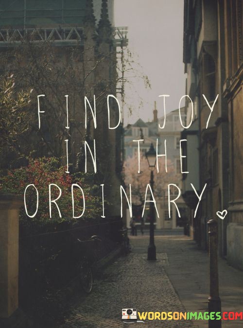 Find-Joy-In-The-Ordinary-Quotes.jpeg