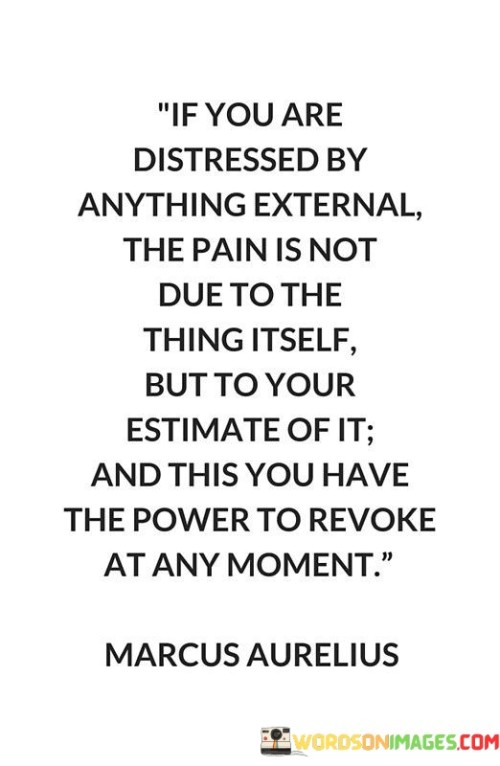 If-You-Are-Distressed-By-Anything-External-The-Pain-Is-Not-Due-To-The-Thing-Itself-Quotes.jpeg