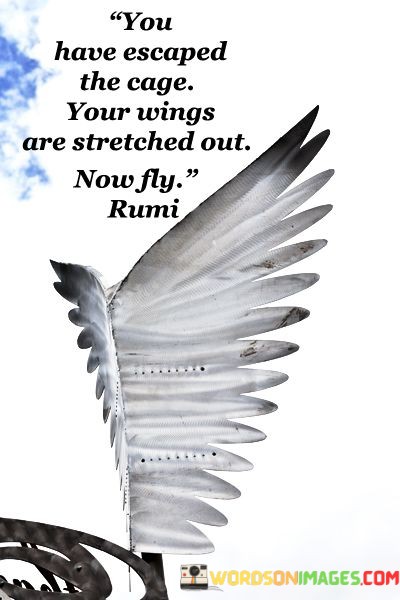 You-Have-Escaped-The-Cage-Your-Wings-Are-Stretched-Out-Quotes.jpeg
