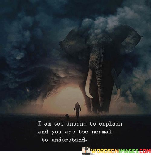 I-Am-Too-Insane-To-Explain-And-You-Are-Too-Quotes.jpeg