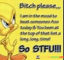 Bitch-Please-I-Am-In-The-Mood-To-Beat-Somesones-Ass-Quotes.jpeg
