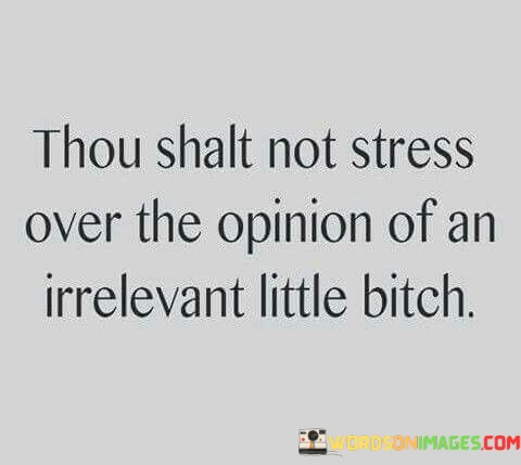 Thou-Shalt-Not-Stress-Over-The-Opinion-Of-An-Quotes.jpeg