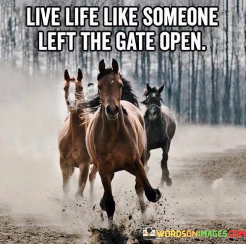 Live-Life-Like-Someone-Left-The-Gate-Open-Quotes.jpeg