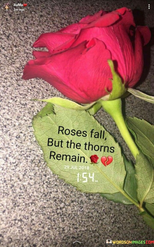 Rose-Fall-But-Thorns-Remain-Quotes.jpeg
