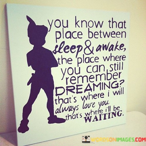 You-Know-That-Place-Between-Sleep-And-Awake-The-Place-Quotes.jpeg