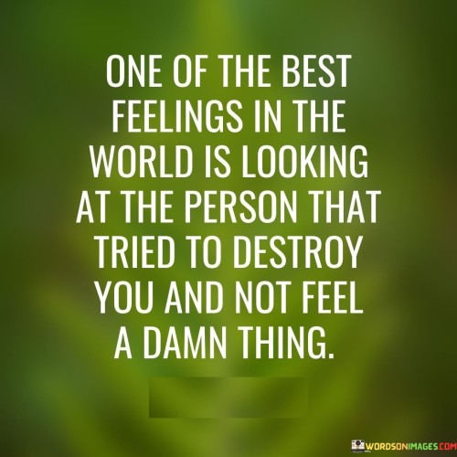 One-Of-The-Best-Feeling-In-The-World-Is-Looking-At-The-Person-That-Tried-To-Destroy-Quotes.jpeg