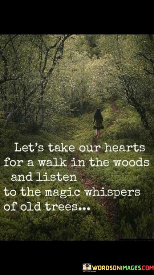 Lets-Take-Our-Hearts-For-A-Walk-In-The-Woods-Quotes.jpeg
