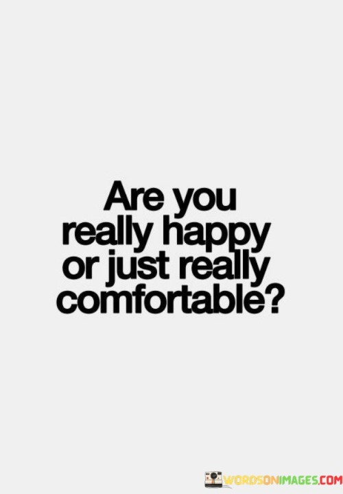 Are-You-Really-Happy-Or-Just-Really-Comfortable-Quotes.jpeg