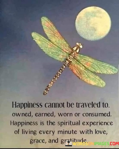 Happiness-Cannot-Be-Traveled-To-Owened-Earned-Worn-Or-Consumed-Quotes.jpeg