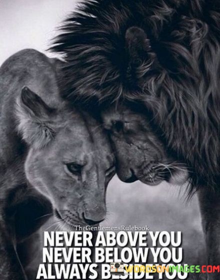 The-Never-Above-You-Never-Below-You-Quotes.jpeg
