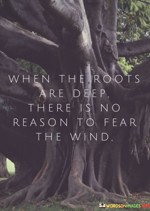 When-The-Roots-Are-Deep-There-Is-No-Quotes.jpeg